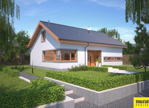 № 1382 Купить Проект дома Чувство. Закажите готовый проект № 1382 в Кемерово, цена 35626 руб.
